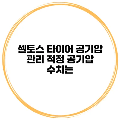 셀토스 타이어 공기압 관리: 적정 공기압 수치는?