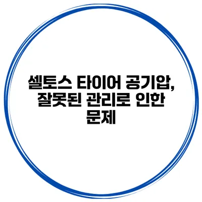 셀토스 타이어 공기압, 잘못된 관리로 인한 문제