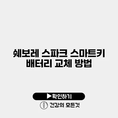 쉐보레 스파크 스마트키 배터리 교체 방법