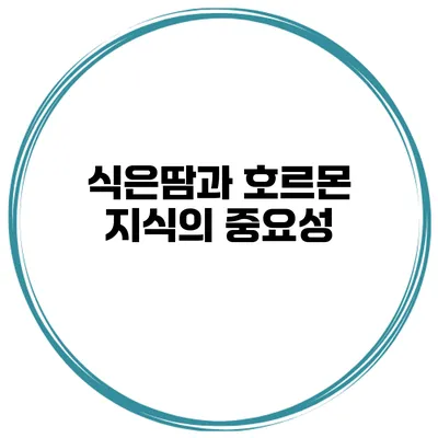 식은땀과 호르몬 지식의 중요성