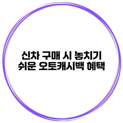 신차 구매 시 놓치기 쉬운 오토캐시백 혜택