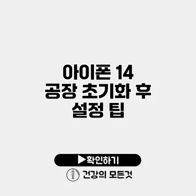 아이폰 14 공장 초기화 후 설정 팁