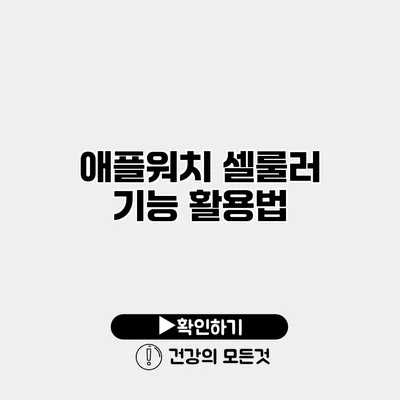 애플워치 셀룰러 기능 활용법
