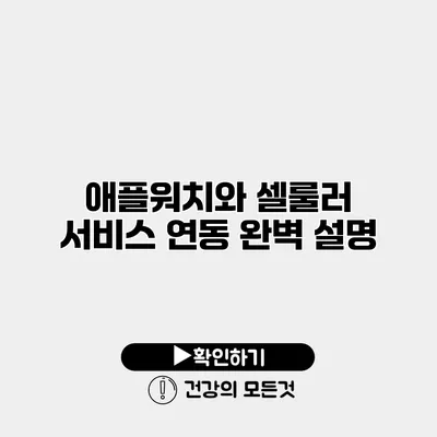 애플워치와 셀룰러 서비스 연동 완벽 설명