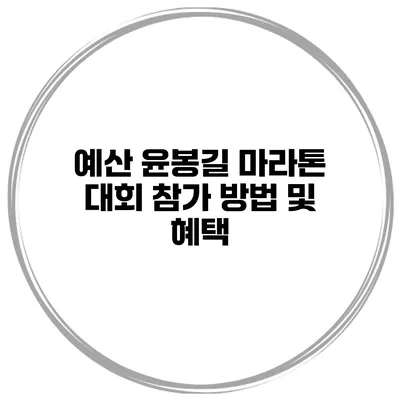 예산 윤봉길 마라톤 대회 참가 방법 및 혜택