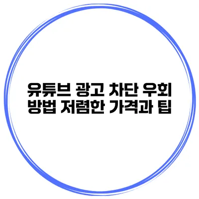유튜브 광고 차단 우회 방법 저렴한 가격과 팁