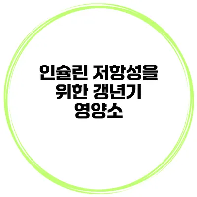 인슐린 저항성을 위한 갱년기 영양소