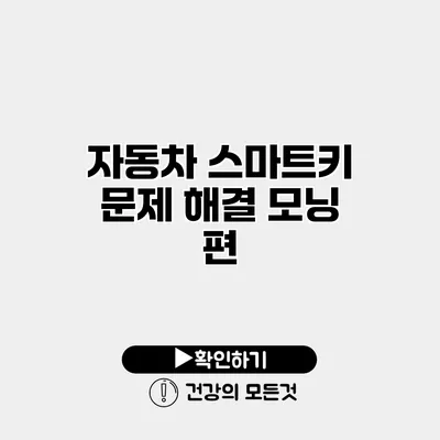 자동차 스마트키 문제 해결 모닝 편