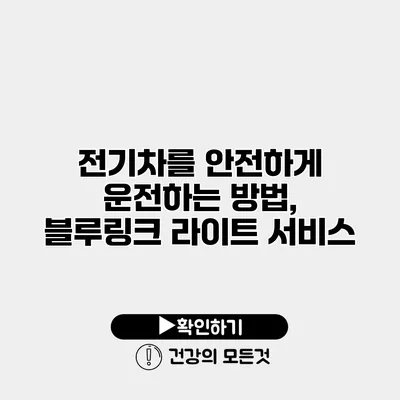 전기차를 안전하게 운전하는 방법, 블루링크 라이트 서비스