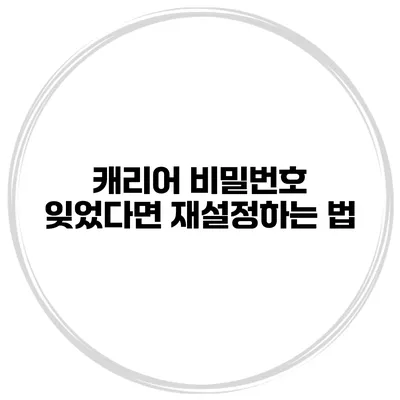 캐리어 비밀번호 잊었다면? 재설정하는 법