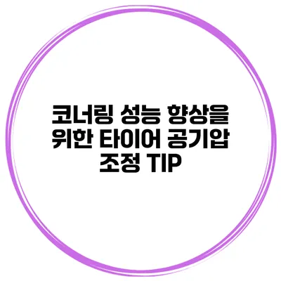 코너링 성능 향상을 위한 타이어 공기압 조정 TIP