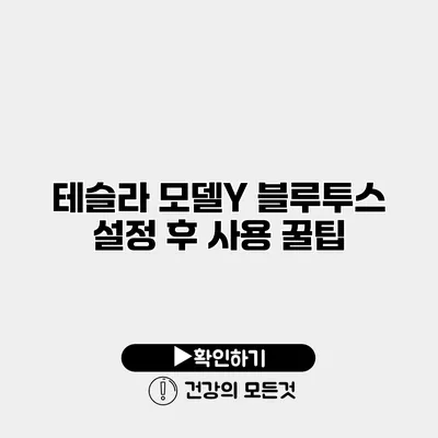 테슬라 모델Y 블루투스 설정 후 사용 꿀팁