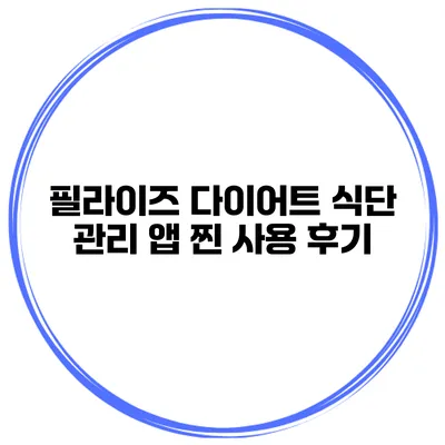 필라이즈 다이어트 식단 관리 앱 찐 사용 후기