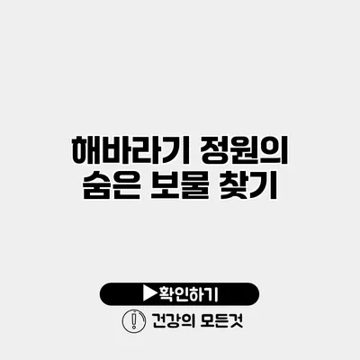 해바라기 정원의 숨은 보물 찾기