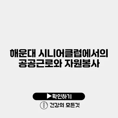 해운대 시니어클럽에서의 공공근로와 자원봉사