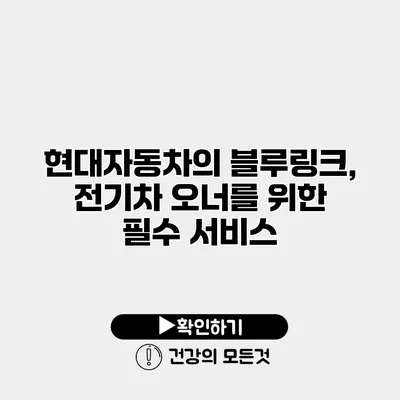 현대자동차의 블루링크, 전기차 오너를 위한 필수 서비스